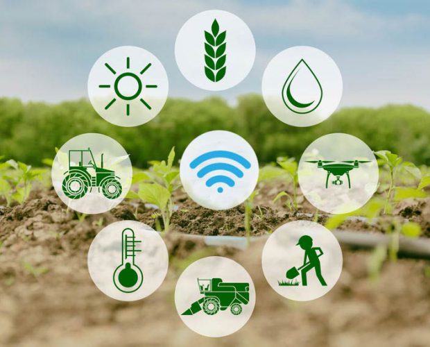Smart-farming-IoT-application-in-Agriculture-2